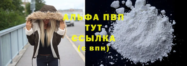 винт Алексин