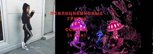 Альфа ПВП Алзамай