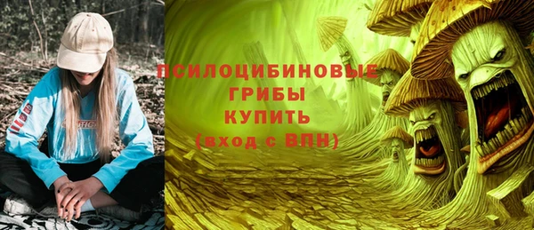 Альфа ПВП Алзамай