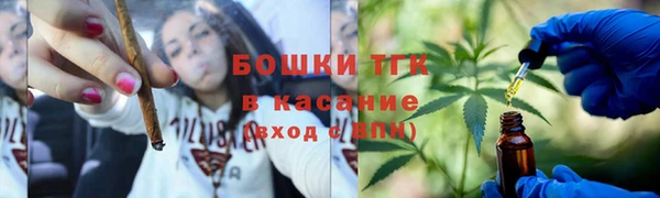 прущие грибы Абдулино