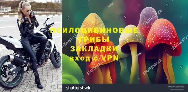 Альфа ПВП Алзамай