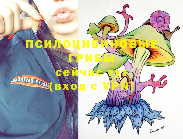 винт Алексин