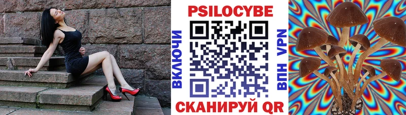 Псилоцибиновые грибы GOLDEN TEACHER  kraken рабочий сайт  Нерехта  где купить наркоту 